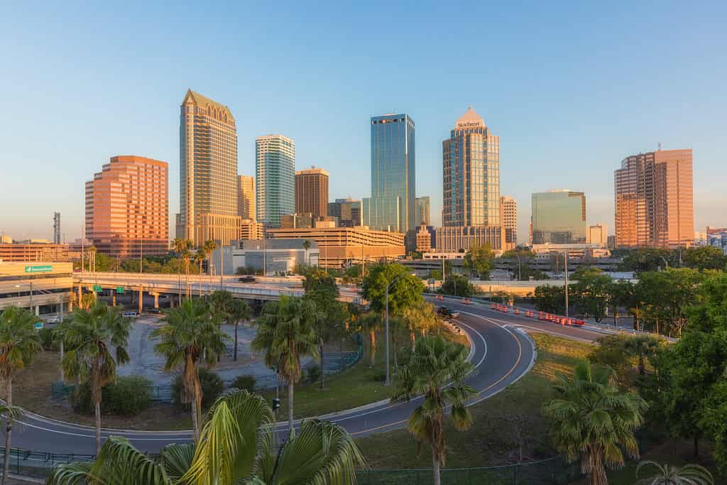 Free Things to Do in Tampa