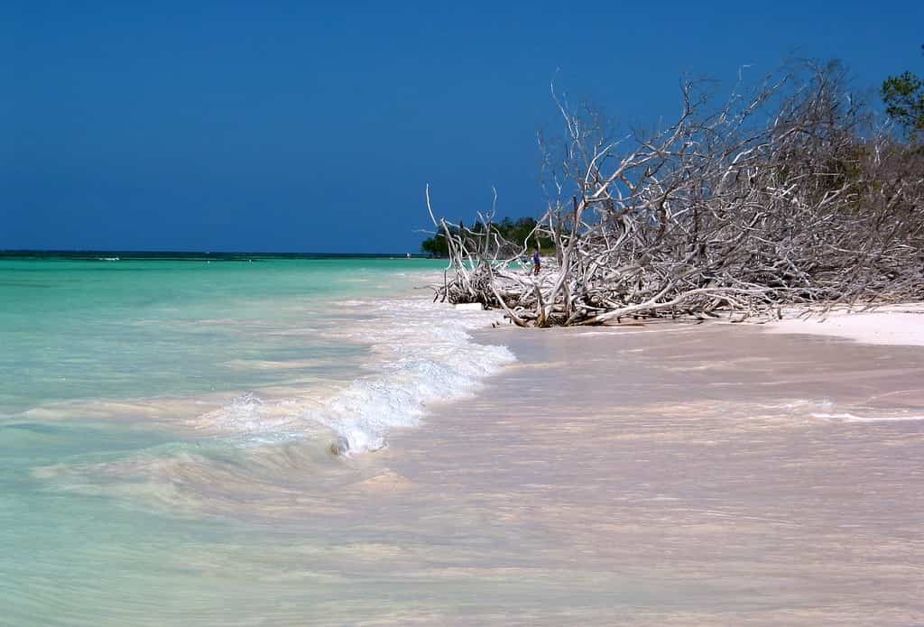 Beaches in Cuba, Playa Cayo Jutias